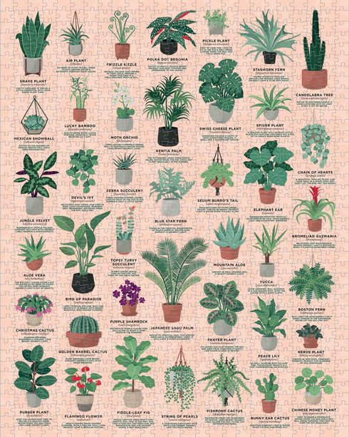 HOUSE PLANTS 1000 PIECE JIGSAW PUZZLE - RIDLEY'S GAMES