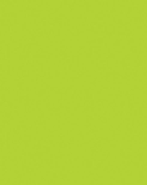 HOT LIME POSTER BOARD