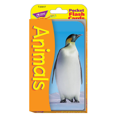 FLASH CARD ANIMAL FLASH CARDS