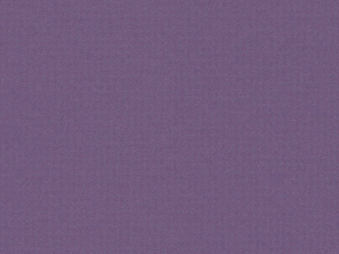 C1076 LAS PURPLE 32X40 MAT