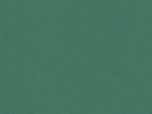 C919 IVY GREEN 32X40 MAT