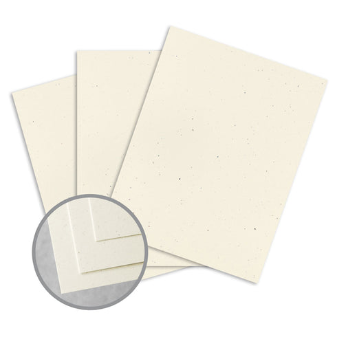 95911 BIRCH 80# ROYAL SUNDANCE PAPER