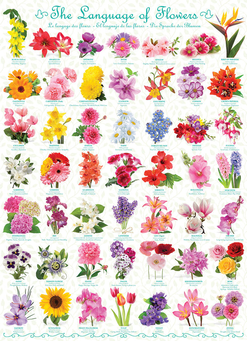THE LANGUAGE OF FLOWERS PUZZLE