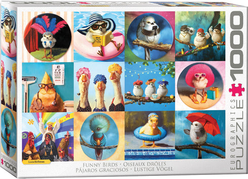 EUROGRAPHICS FUNNY BIRDS 1000 PIECE PUZZLE