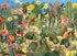 CACTUS GARDEN 1000 PIECE PUZZLE - BEHR. BARBARA