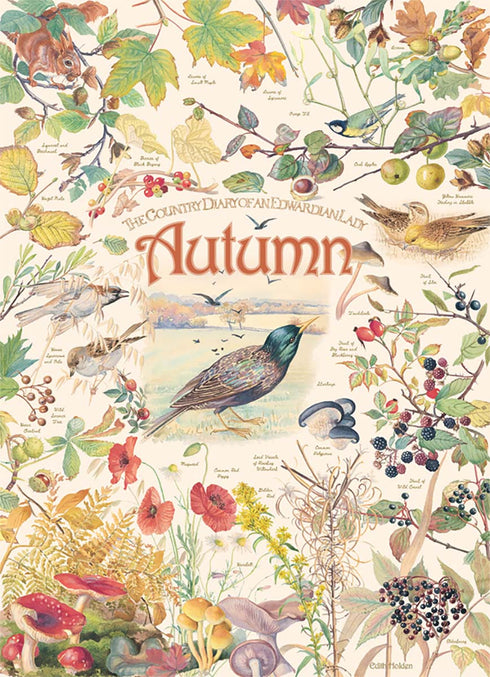 COUNTRY DIARY: AUTUMN 1000 PIECE PUZZLE - STOTT. ROWENA