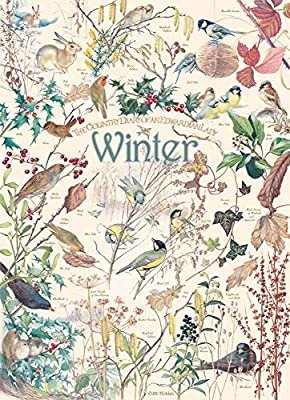 COUNTRY DIARY: WINTER 1000 PIECE PUZZLE - STOTT. ROWENA