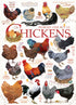 CHICKEN QUOTES 1000 PIECE JIGSAW PUZZLE - DAVIS. ASHLEY