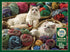 Ragdolls 1000 Pc Puzzle