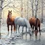 WINTER TRIO 1000 PIECE PUZZLE - WEIRS. PERSIS CLAYTON