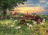 FIELD AT SUNRISE 1000 PIECE PUZZLE - GREG & CO. LLC