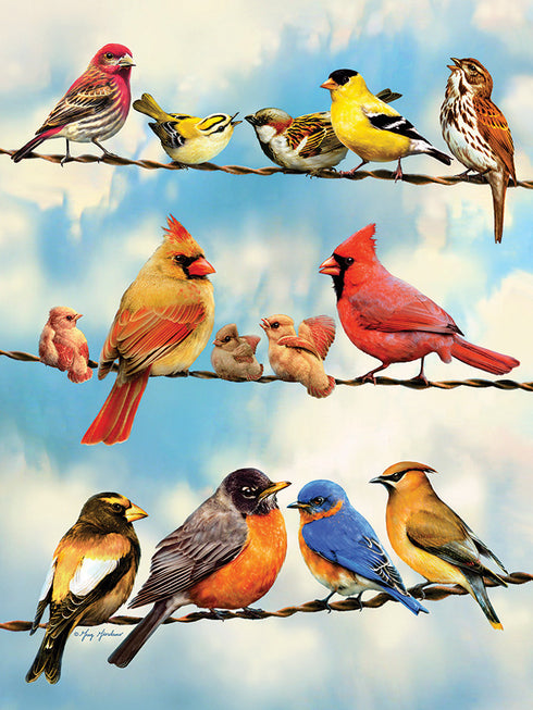 BRIDS ON A WIRE 500 PIECE PUZZLE - GREG & CO. LLC