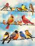 BRIDS ON A WIRE 500 PIECE PUZZLE - GREG & CO. LLC