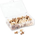 WOOD PUSH PINS ASST