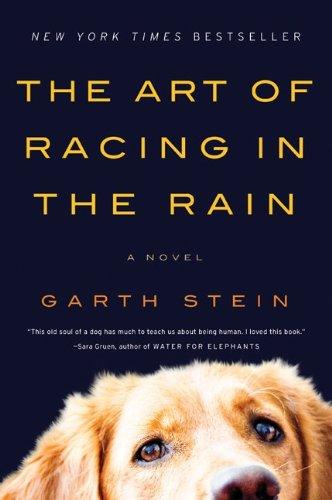 ART OF RACING IN THE RAIN