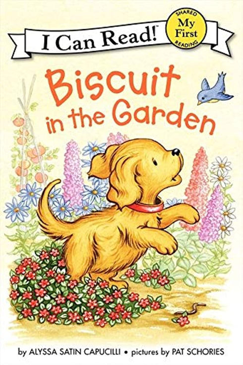 Biscuit In The Garden