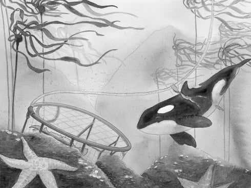 A WHALE OF THE WILD - PARRY. ROSANNE