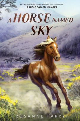 A HORSE NAMED SKY - PARRY, ROSANNE ; FAGAN, KIRBI