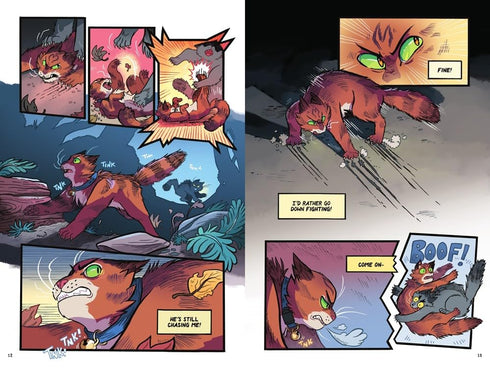 WARRIORS GRAPHIC NOVEL: PROPHECIES BEGIN #1 - HUNTER. ERIN