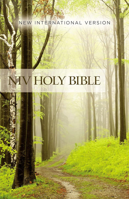 NIV, VALUE OUTREACH BIBLE, PAPERBACK (SPECIAL) - ZONDERVAN
