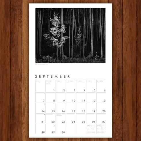 ANSEL ADAMS 2025 WALL CALENDAR - ADAMS. ANSEL