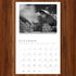 ANSEL ADAMS 2025 WALL CALENDAR - ADAMS. ANSEL