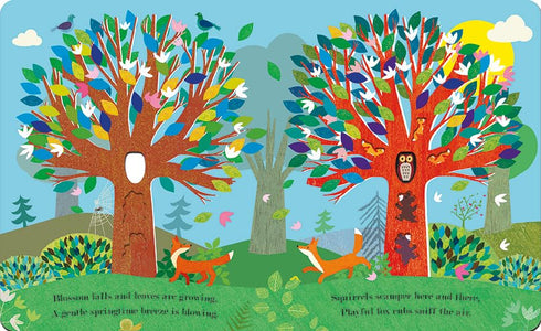 TREE: A PEEK-THROUGH BOARD BOOK - TECKENTRUP. BRITTA