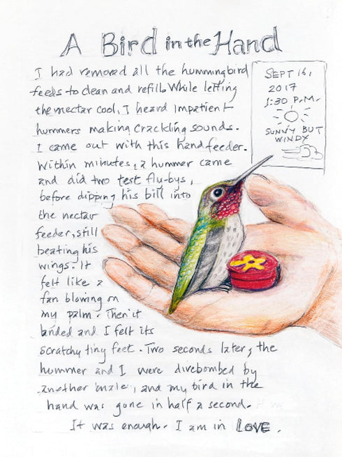 THE BACKYARD BIRD CHRONICLES