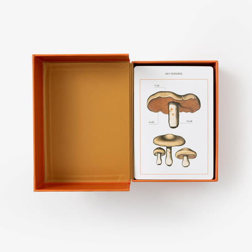 MUSHROOM IDENTIFICATION FLASHCARDS - THE NEW YORK BOTANICAL GARDEN