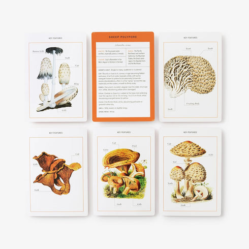 MUSHROOM IDENTIFICATION FLASHCARDS - THE NEW YORK BOTANICAL GARDEN