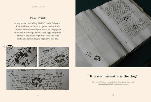 MEDIEVAL CATS: CLAWS, PAWS, AND KITTIES OF YORE - NAPPINGTON. CATHERINE