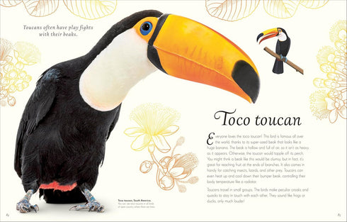 AN ANTHOLOGY OF EXQUISITE BIRDS (DK CHILDREN'TS ANTHOLOGIES) - HOARE. BEN