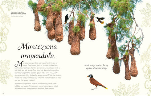 AN ANTHOLOGY OF EXQUISITE BIRDS (DK CHILDREN'TS ANTHOLOGIES) - HOARE. BEN