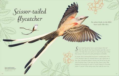 AN ANTHOLOGY OF EXQUISITE BIRDS (DK CHILDREN'TS ANTHOLOGIES) - HOARE. BEN