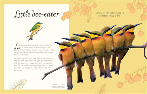 AN ANTHOLOGY OF EXQUISITE BIRDS (DK CHILDREN'TS ANTHOLOGIES) - HOARE. BEN
