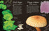AN ANTHOLOGY OF FUNGI: A COLLECTION OF MUSHROOMS, TOADSTOOLS AND OTHER FUNGI - D
