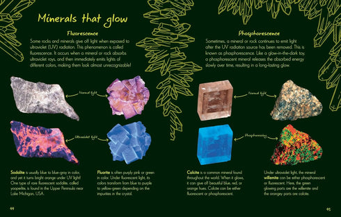 AN ANTHOLOGY OF ROCKS AND MINERALS: A COLLECTION OF ROCKS, MINERALS, AND GEMS FR