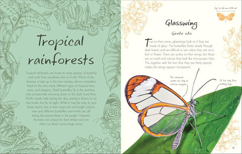 AN ANTHOLOGY OF BUTTERFLIES AND MOTHS: A COLLECTION FROM AROUND THE WORLD - DK