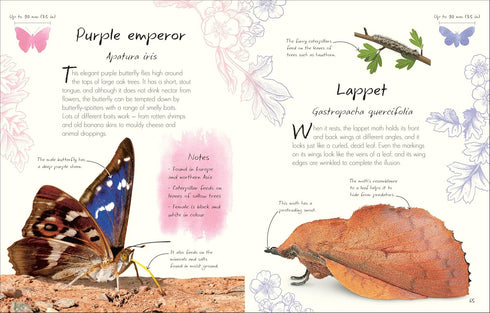AN ANTHOLOGY OF BUTTERFLIES AND MOTHS: A COLLECTION FROM AROUND THE WORLD - DK