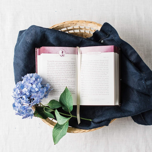 JESUS ALWAYS: EMBRACING JOY IN HIS PRESENCE (365-DAY DEVOTIONAL) - YOUNG. SARAH