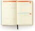 BIG PLANS UNDATED STANDARD PLANNER - BRASS MONKEY; GALISON
