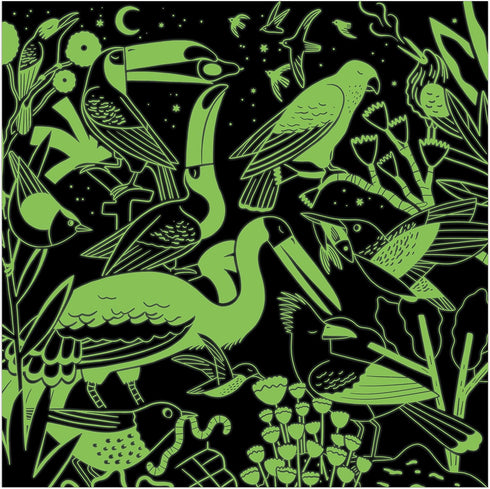BIRDS ILLUMINATED 500 PIECE GLOW IN THE DARK JIGSAW PUZZLE - DURLEY. NATASHA