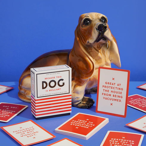 BECAUSE THIS DOG IS EMBARRASSIG - PET SHAME/PRAISE DECK - BRASS MONEKY; GALISON