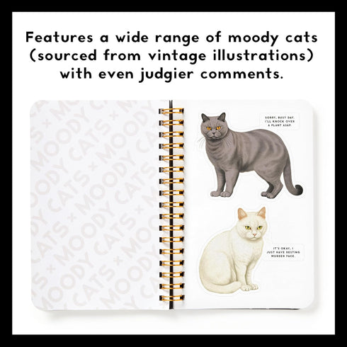 MOODY CATS STICKER BOOK - BRASS MONKEY