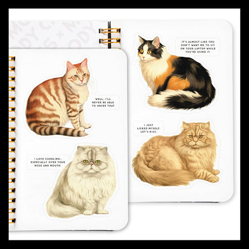 MOODY CATS STICKER BOOK - BRASS MONKEY