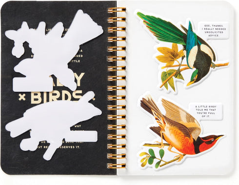 SALTY BIRDS STICKER BOOK - BRASS MONKEY