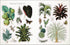 THE BOTANIST'S STICKER ANTHOLOGY (1,000+ VINTAGE STICKERS) - DK