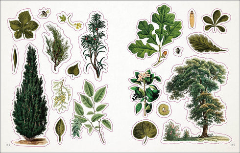 THE BOTANIST'S STICKER ANTHOLOGY (1,000+ VINTAGE STICKERS) - DK