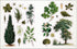 THE BOTANIST'S STICKER ANTHOLOGY (1,000+ VINTAGE STICKERS) - DK