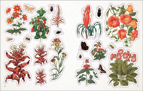 THE BOTANIST'S STICKER ANTHOLOGY (1,000+ VINTAGE STICKERS) - DK